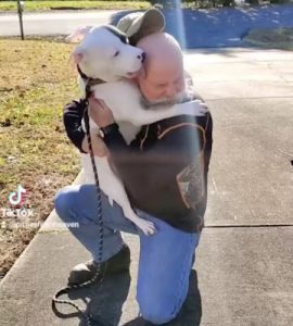 The shelter dog meets his new family and joyfully runs towards them, giving hugs affectionately. - Puppies Love