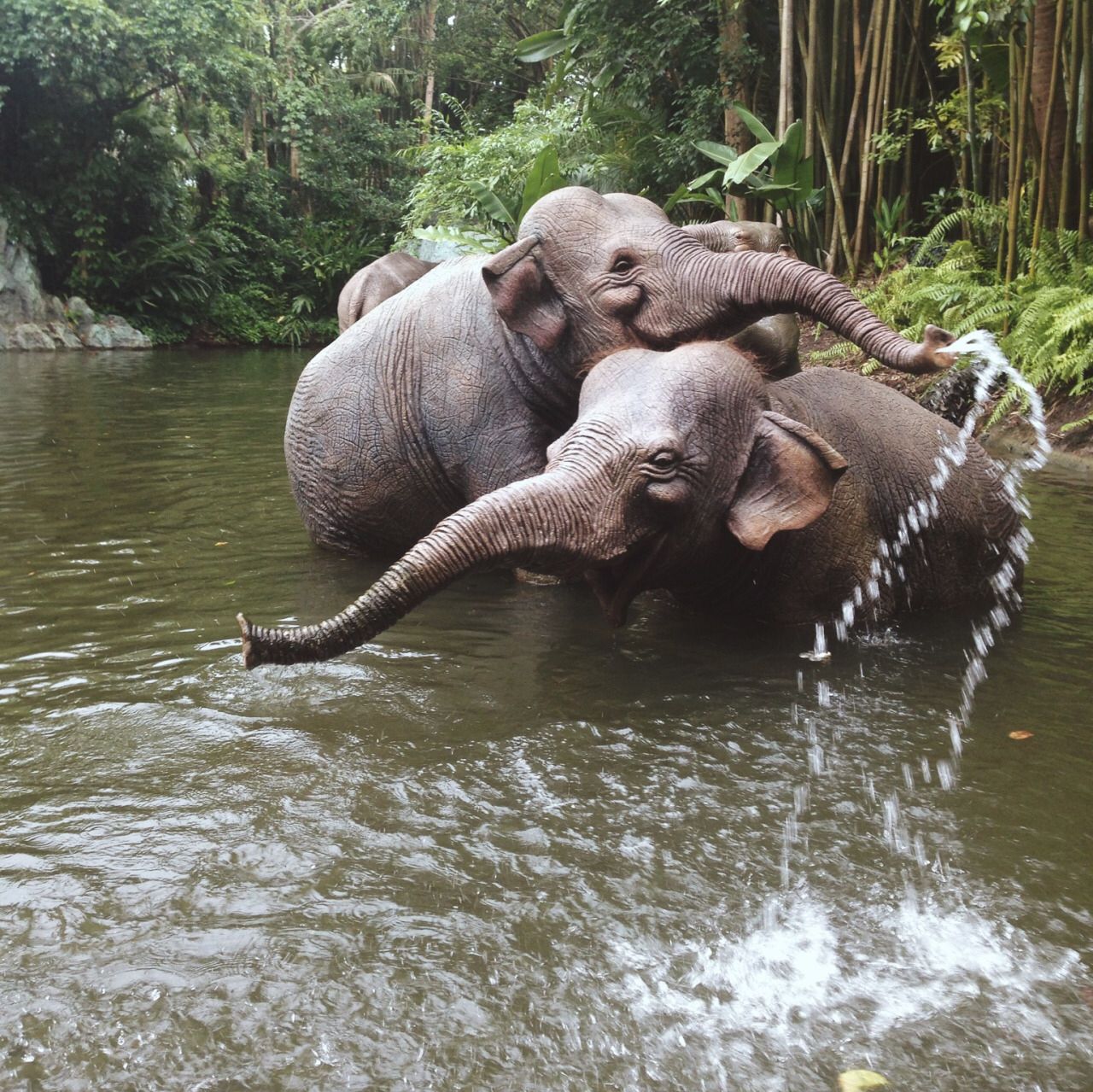 Enthusiastic Baby Elephants Delight in the Majesty of a Waterfall. l - LifeAnimal