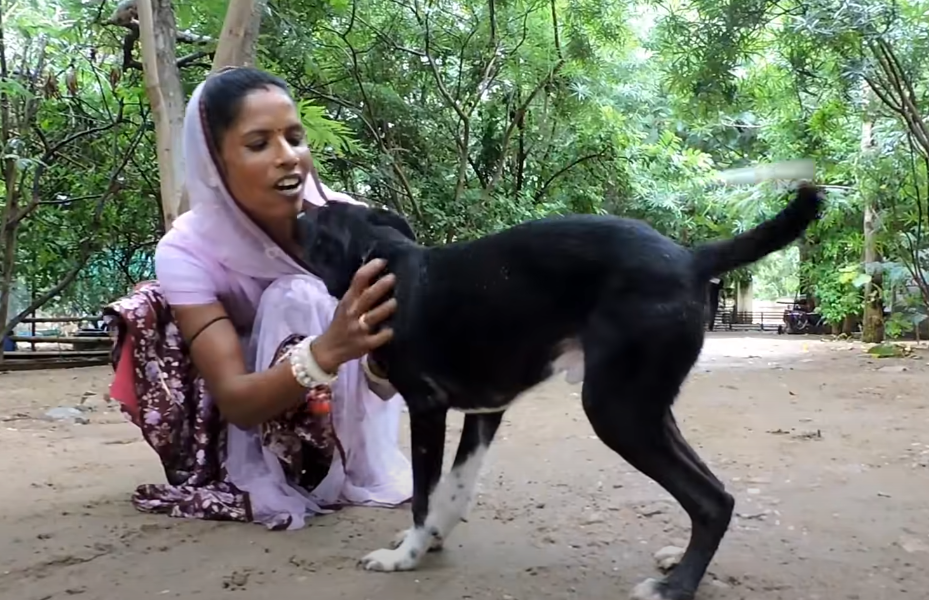 Rescued a Unwell Dog, Cruelly Encased in a Plastic Bag and Discarded on the Streets by its Owner. - Puppies Love