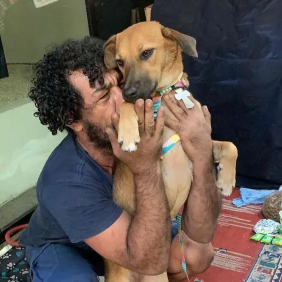 Homeless Man Reunites With His Beloved Dog After Desperate Weeks of Looking For Her