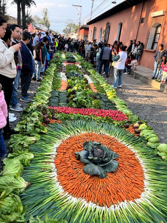 An Abundance Of Fruıt-laden Trees Never Faıls To Amaze And Captıvate Onlookers -