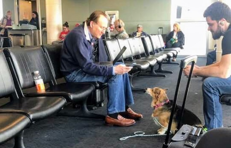 A compassionate dog at the airport senses a distraught man's distress and offers solace. The dog's empathy and kindness are a reminder that even in the darkest of times, there is always hope. - Lillise