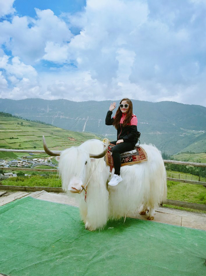 Rare Beauty Unveiled: The Enigmatic Tibetan White Yak, the World's Rarest Color Phase of Yak - Sporting ABC