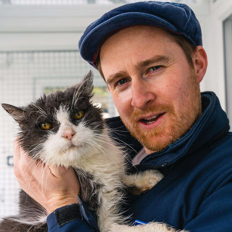 Morag, a 21-year-old cat, was brought to a shelter but ended up becoming a beloved sensation on the internet