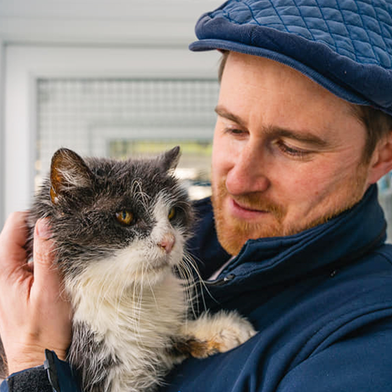 Morag, a 21-year-old cat, was brought to a shelter but ended up becoming a beloved sensation on the internet