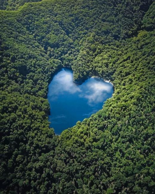 Indulge in Nature's Majestic Homage: The Spellbinding Tranquility of Heart-Shaped Lakes, Nestled Amidst Lush Greenery