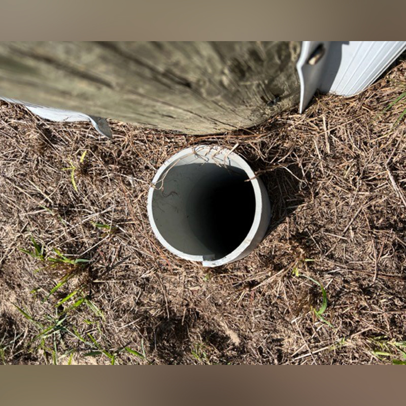 Mario the Kitten's Path to Adulthood: Officer's Life-saving Aid Liberates Him from the Constrictions of the Pipe.KhanhNhu