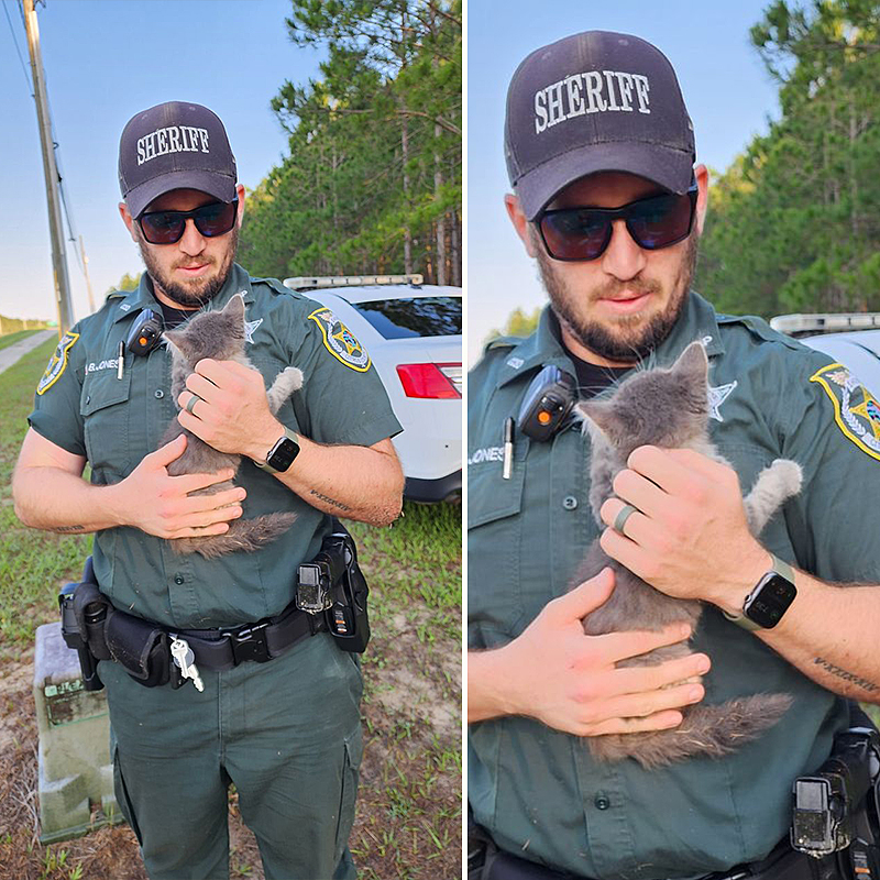 Mario the Kitten's Path to Adulthood: Officer's Life-saving Aid Liberates Him from the Constrictions of the Pipe.KhanhNhu