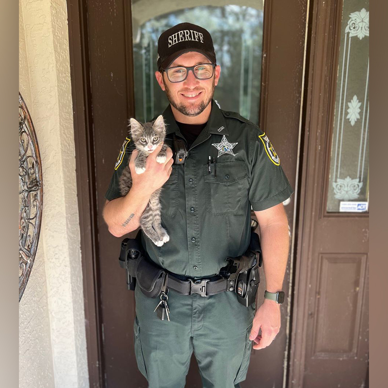 Mario the Kitten's Path to Adulthood: Officer's Life-saving Aid Liberates Him from the Constrictions of the Pipe.KhanhNhu