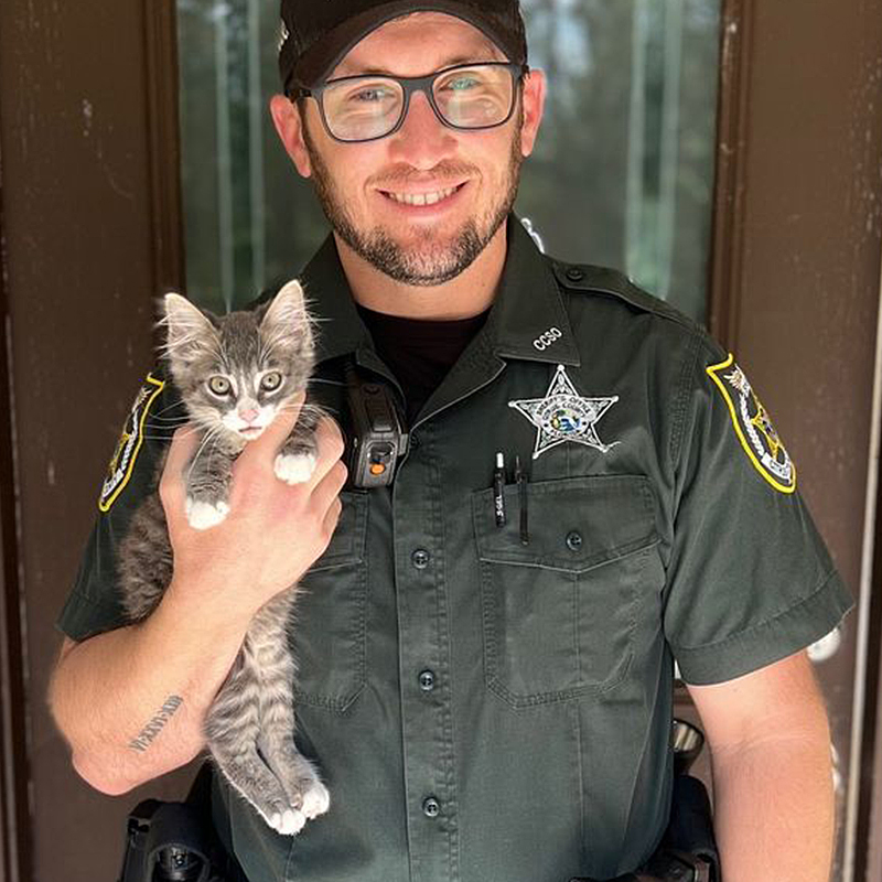 Mario the Kitten's Path to Adulthood: Officer's Life-saving Aid Liberates Him from the Constrictions of the Pipe.KhanhNhu