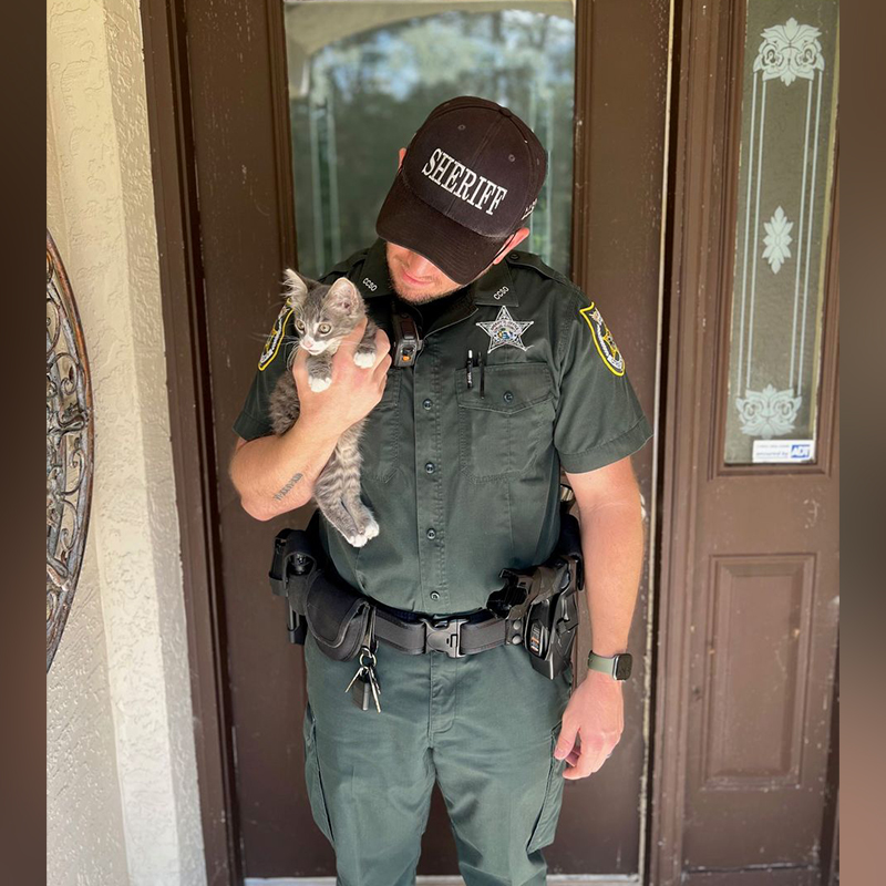 Mario the Kitten's Path to Adulthood: Officer's Life-saving Aid Liberates Him from the Constrictions of the Pipe.KhanhNhu