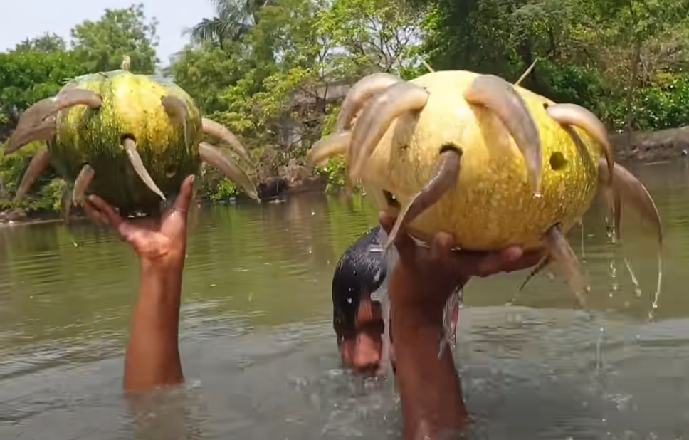 Incredible Fishing Video Goes Viral as Young Village Boy Crafts Ingenious Fish Trap Using Pumpkin - Sporting ABC