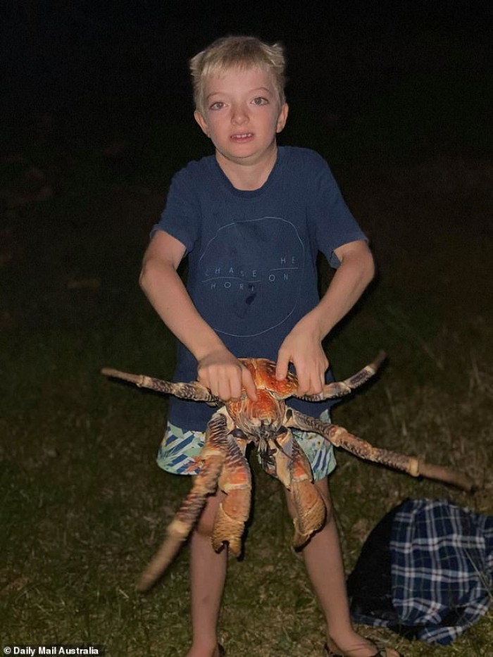 Family Went On A Camping Trip To A Remote Australian Island, But Were Suddenly Surrounded By Big Carnivorous Crabs