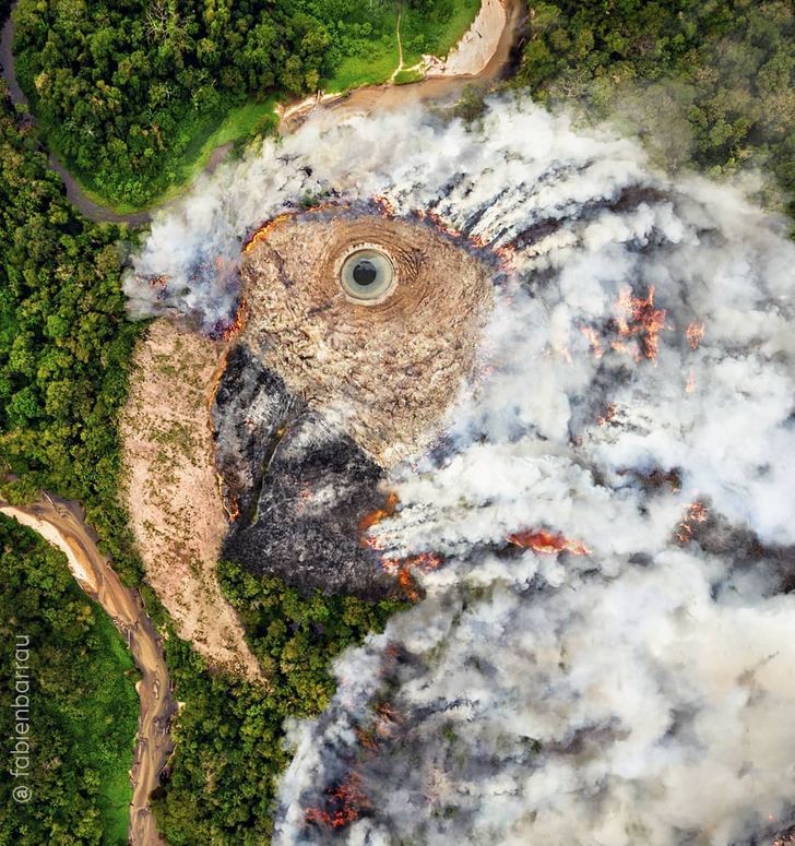 The future of humanity is predicted through the unique face images of nature – Tech Reactions News