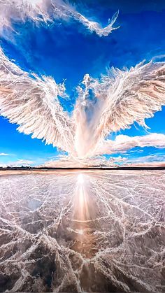 Cloud Formations Resembling Giant Eagle Wings: A Spectacular View