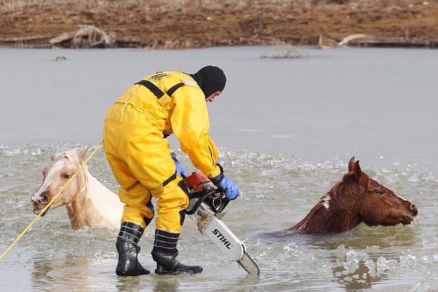 Touching Display of Compassion: Humanity Unites to Save Horse Trapped in Frozen Creek [Video]