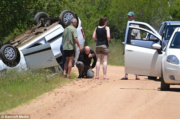 Unforgettable Safari Moment: Ferocious Elephant Display Leaves British Tourists in Awe and Chaos..D - LifeAnimal