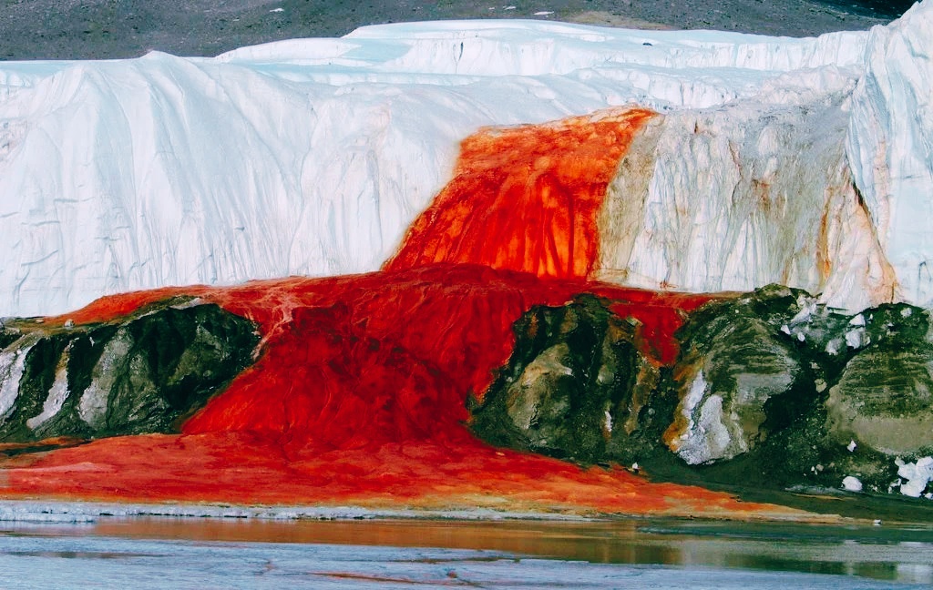 Scientists Solʋe Century-Old Mystery of Antarctica’s Blood Falls – Tech Reactions News