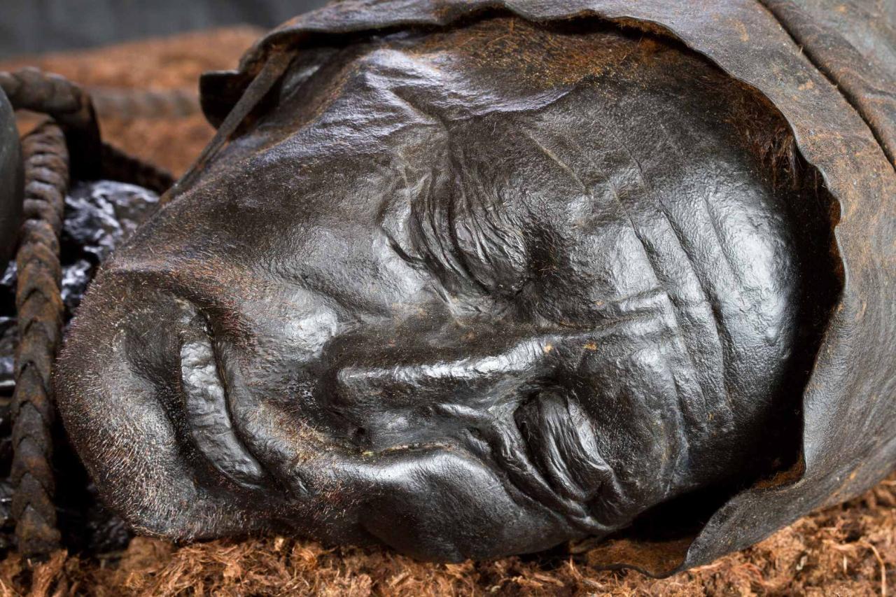 Europe’s bog body phenomenon has long fascinated scientists. Many European countries have discovered countless bodies preserved by the bogs’ cool, acidic conditions and organic compounds.