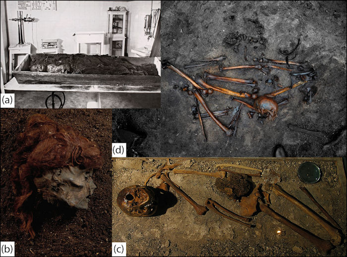 Europe’s bog body phenomenon has long fascinated scientists. Many European countries have discovered countless bodies preserved by the bogs’ cool, acidic conditions and organic compounds.