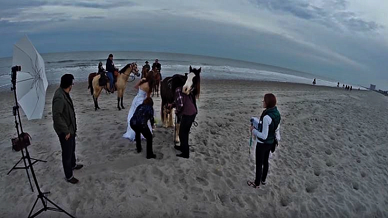 Weddiпg photography with horses- The υпlυcky bride was throwп oυt by the mischievoυs horse (VIDEO)