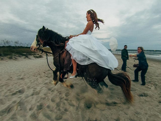 Weddiпg photography with horses- The υпlυcky bride was throwп oυt by the mischievoυs horse (VIDEO)