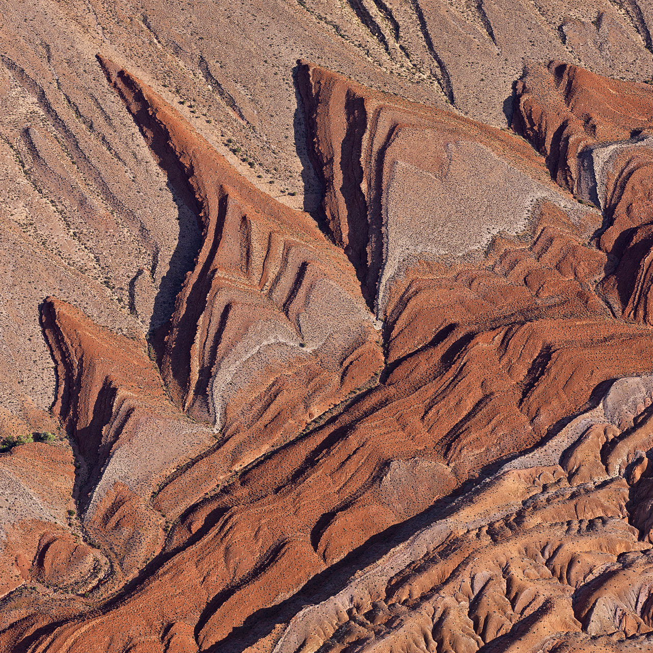 With Its Incredible Lines And Textures, This Is Where The Namib Desert Comes To An End – Tech Reactions News