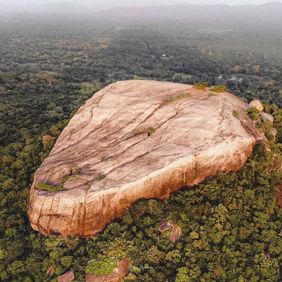 Discover Sri Lanka's natural beauties by traveling to the beautiful Danigala Circular Rock. - Mnews