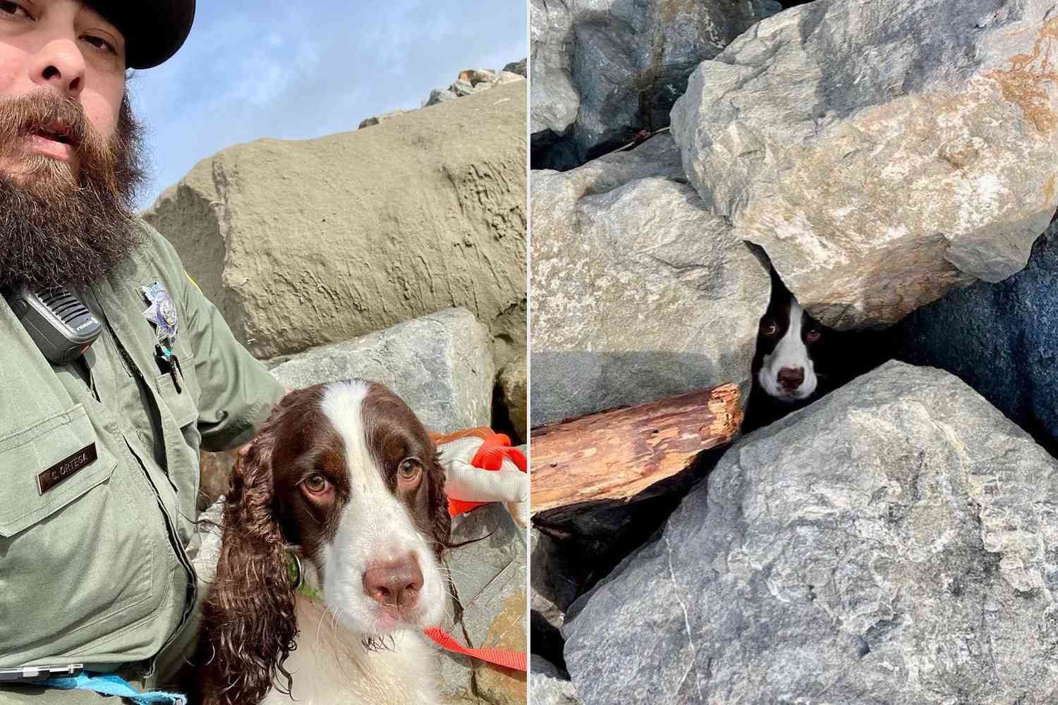 A jogger comes to the rescue of a dog trapped beneath boulders at Ocean Beach. – Puppies Love