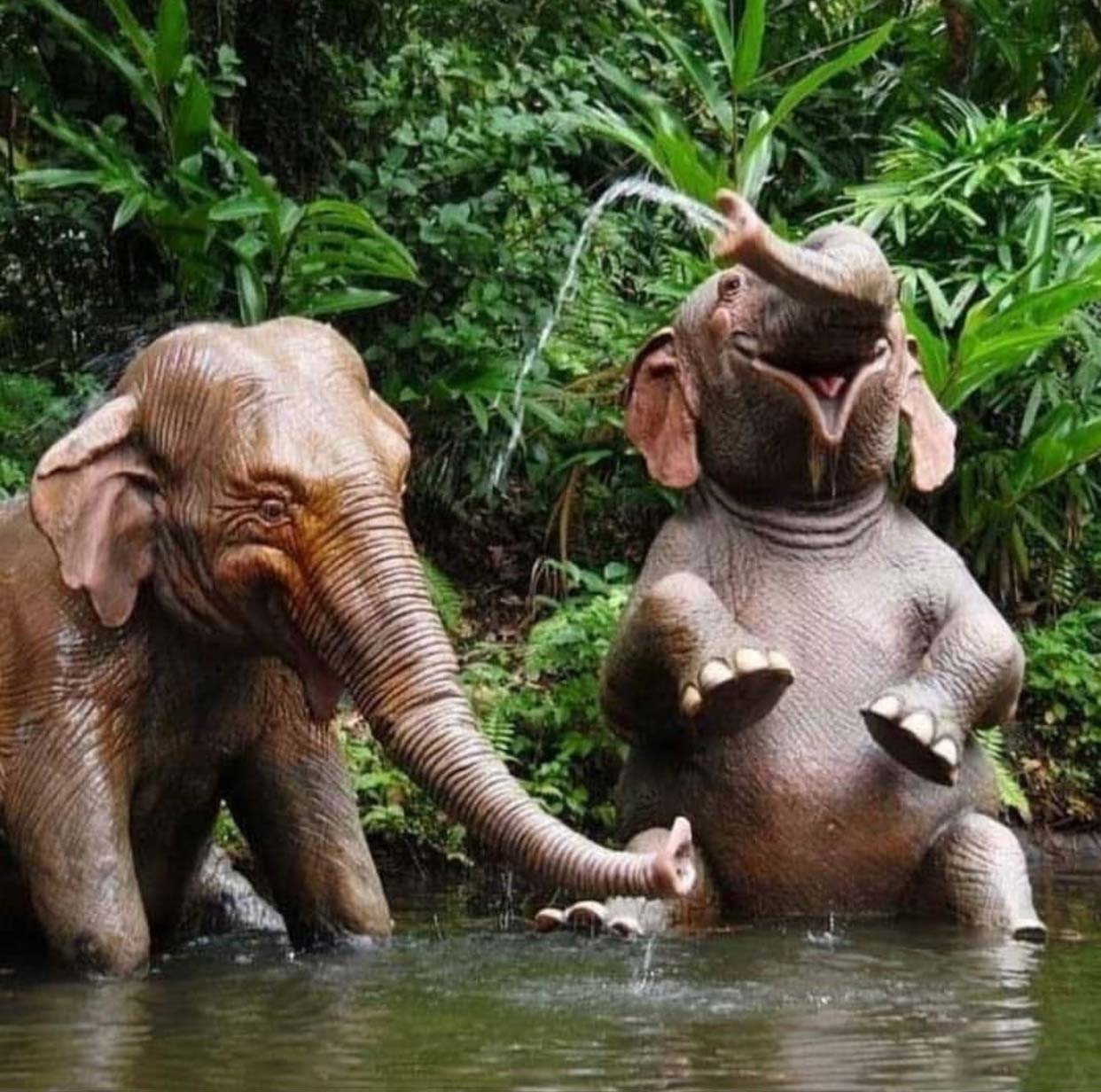 Enthusiastic Baby Elephants Delight in the Majesty of a Waterfall. l - LifeAnimal
