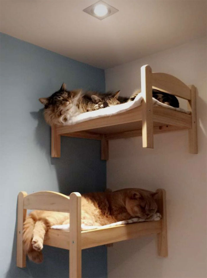 "IKEA's Miniature Beds for Toys are a Feline Haven: Perfect for Your Purrfect Cat"