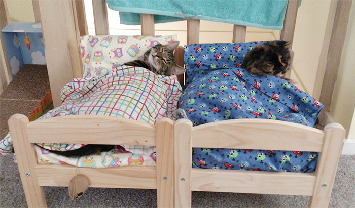 "IKEA's Miniature Beds for Toys are a Feline Haven: Perfect for Your Purrfect Cat"