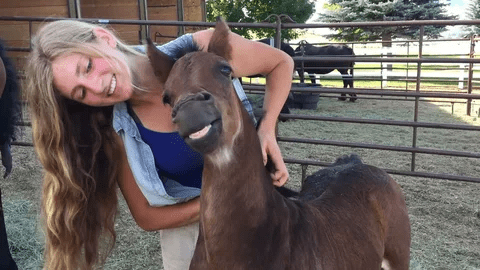 Baby horse has the best smile, and it can't stop smiling