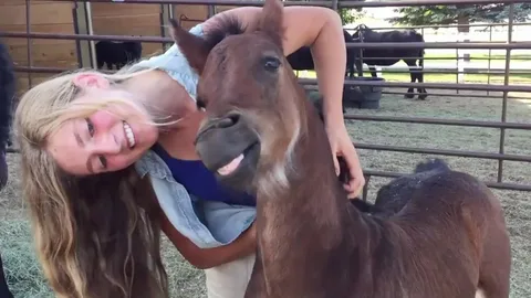 Baby horse has the best smile, and it can't stop smiling