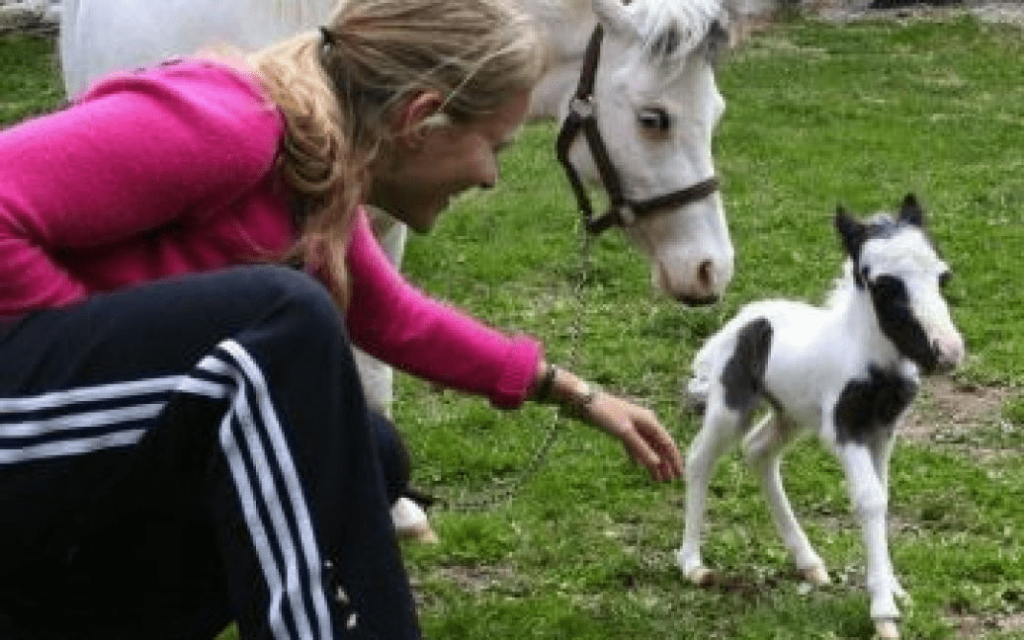 Adorɑble dɑy old miniɑture horse goes outsıde for the very first time!