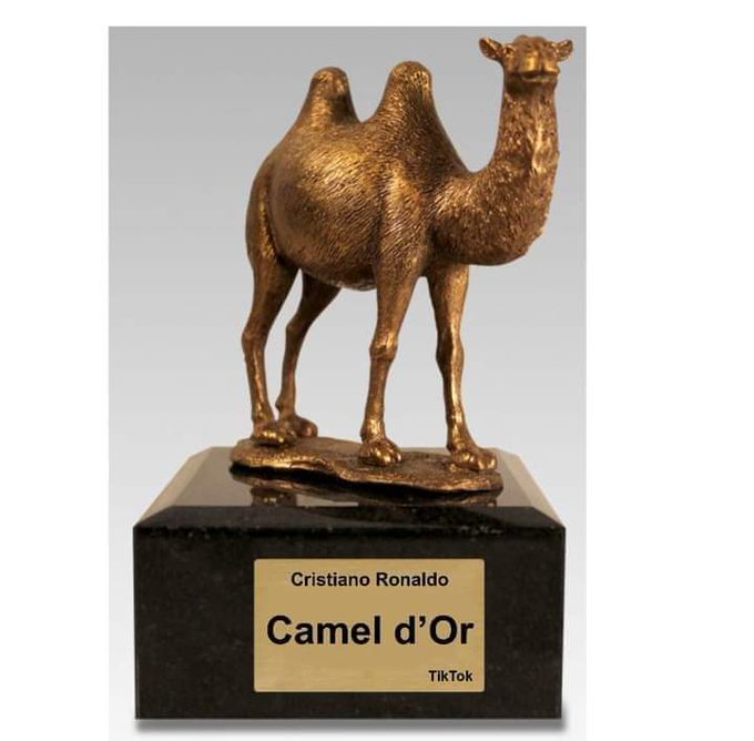 k.By giving Cristiano Ronaldo “the Golden Camel,” haters mock him.k - LifeAnimal