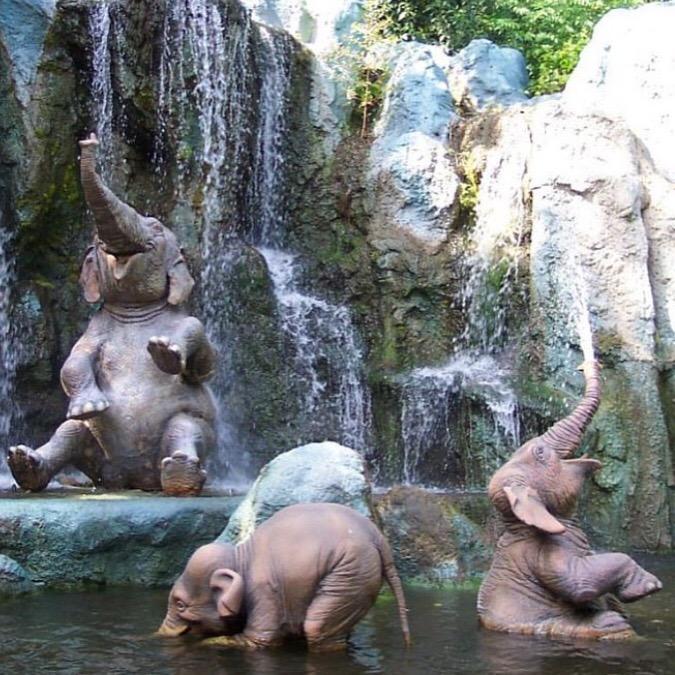 Los entusiastas elefantes bebés se deleitan con la majestuosidad de una cascada. l - LifeAnimal