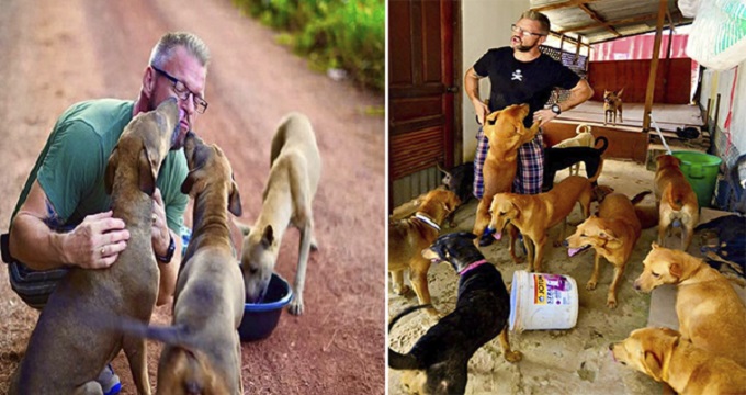 "Heartwarming Story: The Dedicated Man Who Devotes His Days to Nourishing and Rescuing Stray Dogs"