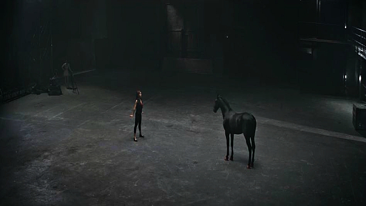 Hysterical Commercial Shows Black Horse Competing In A Dance With Ballerina