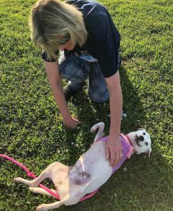 Severely Injured Dog Drags Herself Over To Jogger Who Finds Her