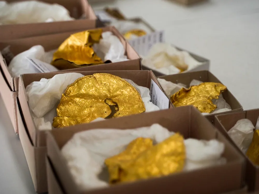 Unearthing Gold: The Thrilling Journey of an Amateur Treasure Hunter . - movingworl.com