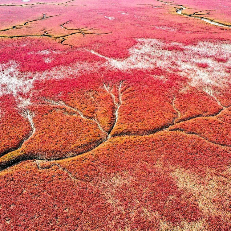 9 Very Strange Places to See Across the World – Tech Reactions News