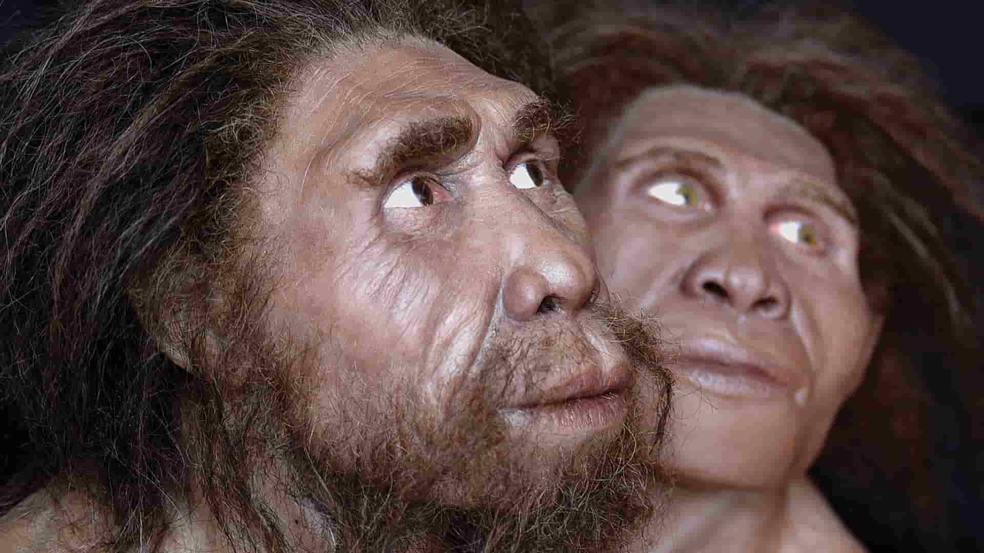 Remains of Ancient 'Hobbit' Humans Uncovered in Indonesia