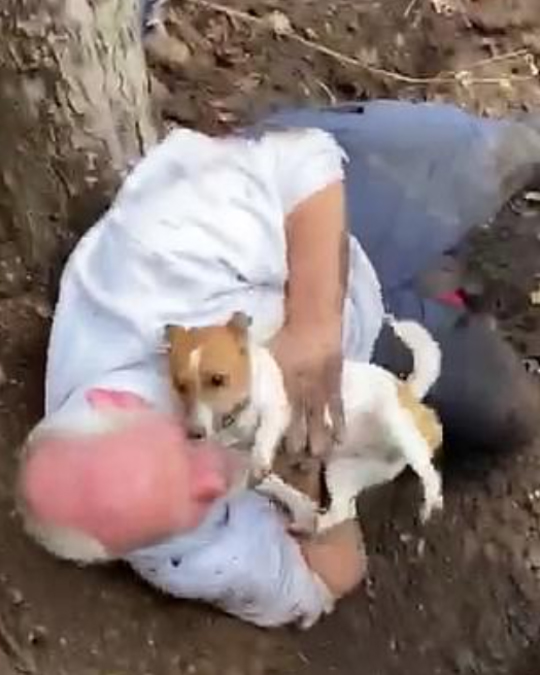 Man’s Tearful Encounter with Dog Found in Foxhole After 3 Days – Puppies Love