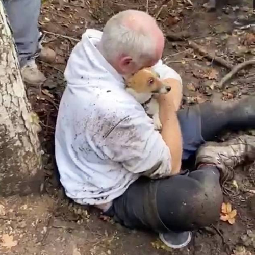 Man’s Tearful Encounter with Dog Found in Foxhole After 3 Days – Puppies Love