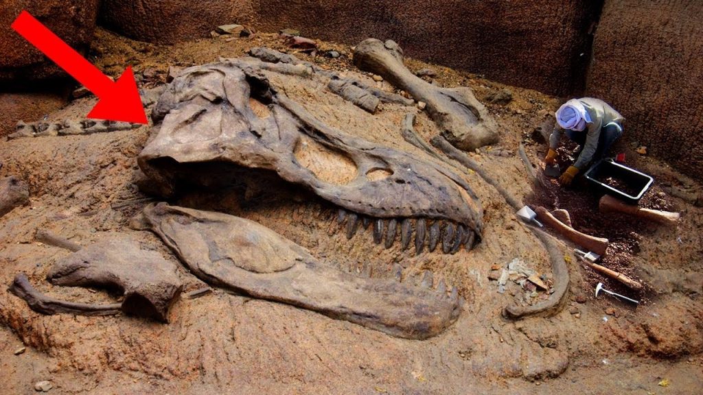 Revealing the ancient wonder: New discovery of prehistoric creatures makes scientists happy (Video).f - LifeAnimal