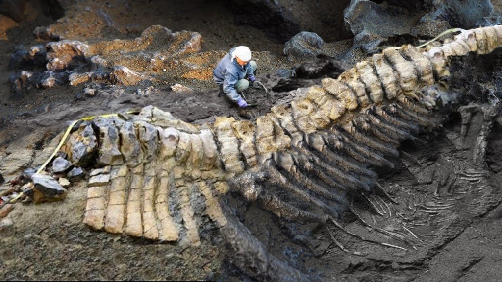 Revealing the ancient wonder: New discovery of prehistoric creatures makes scientists happy (Video).f - LifeAnimal