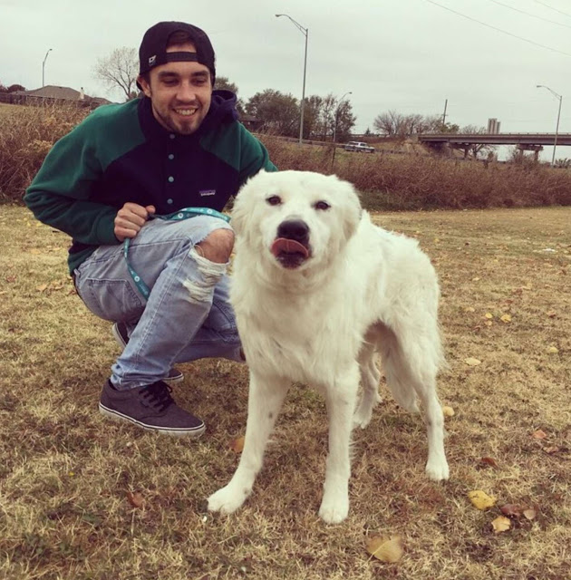 The once-injured dog, deemed too hurt to be pet, now can't resist cuddling with his new owner, illustrating the transformative power of love and care. - Puppies Love