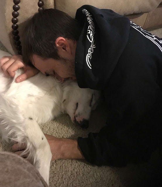 The once-injured dog, deemed too hurt to be pet, now can't resist cuddling with his new owner, illustrating the transformative power of love and care. - Puppies Love