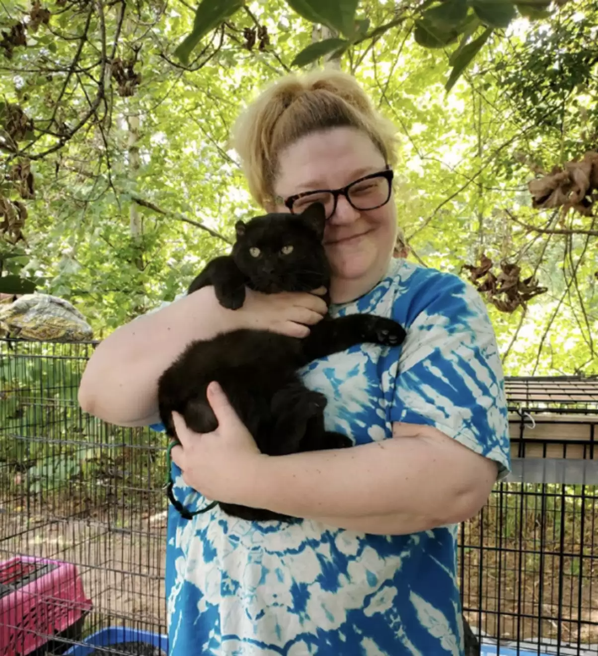 Idea from shelter staff leads to the adoption of 40 black cats - a heartwarming success story